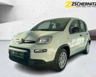 Fiat Panda Gebrauchtwagen