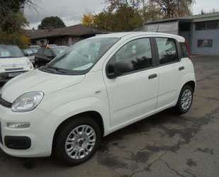 Fiat Panda Gebrauchtwagen