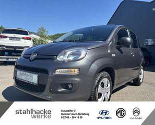 Fiat Panda Gebrauchtwagen