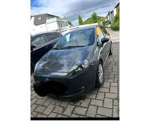 Fiat Punto Gebrauchtwagen