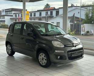 Fiat Panda Gebrauchtwagen