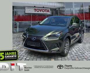 Lexus NX 300 Gebrauchtwagen