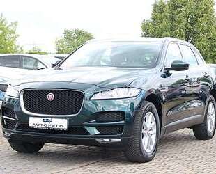 Jaguar F-Pace Gebrauchtwagen