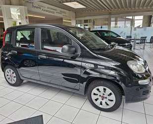 Fiat Panda Gebrauchtwagen