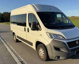 Fiat Ducato Gebrauchtwagen