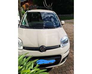 Fiat Panda Gebrauchtwagen