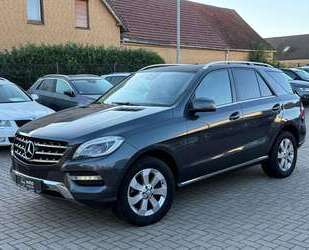 Mercedes-Benz ML 250 Gebrauchtwagen