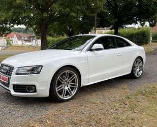 Audi S5 Gebrauchtwagen
