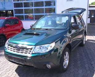 Subaru Forester Gebrauchtwagen