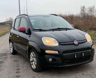 Fiat Panda Gebrauchtwagen