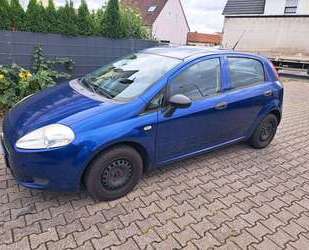Fiat Punto Gebrauchtwagen
