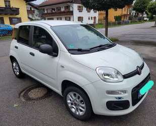 Fiat Panda Gebrauchtwagen