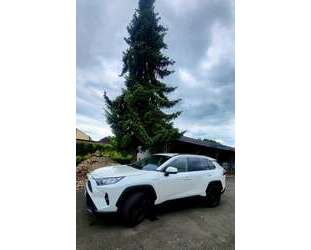 Toyota RAV 4 Gebrauchtwagen