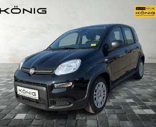 Fiat Panda Gebrauchtwagen