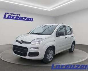 Fiat Panda Gebrauchtwagen