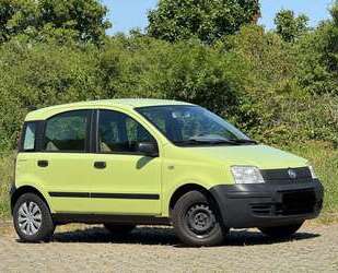 Fiat Panda Gebrauchtwagen