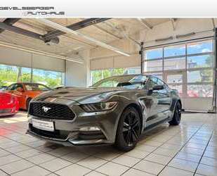 Ford Mustang Gebrauchtwagen