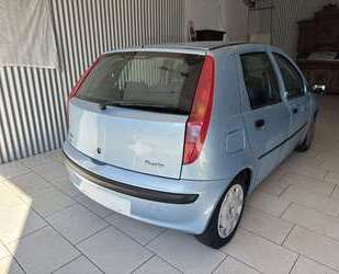 Fiat Punto Gebrauchtwagen