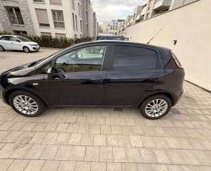 Fiat Punto Gebrauchtwagen