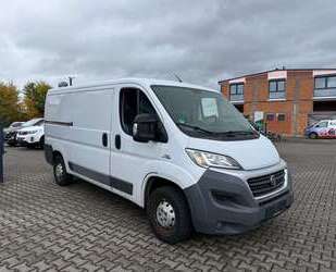 Fiat Ducato Gebrauchtwagen