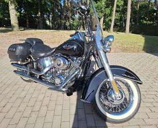 Harley Davidson Softail Gebrauchtwagen