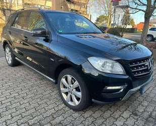 Mercedes-Benz ML 250 Gebrauchtwagen
