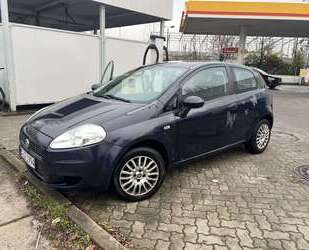 Fiat Punto Gebrauchtwagen