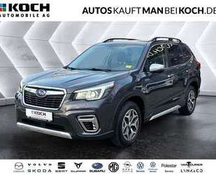 Subaru Forester Gebrauchtwagen