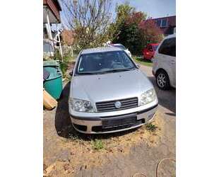 Fiat Punto Gebrauchtwagen