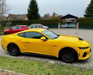 Ford Mustang Gebrauchtwagen