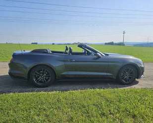 Ford Mustang Gebrauchtwagen