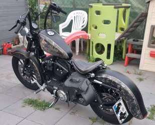 Harley Davidson Iron 883 Gebrauchtwagen