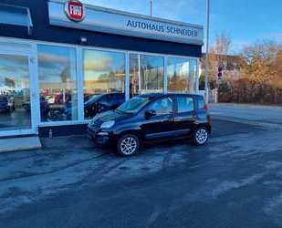 Fiat Panda Gebrauchtwagen