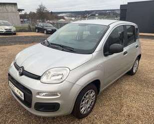 Fiat Panda Gebrauchtwagen
