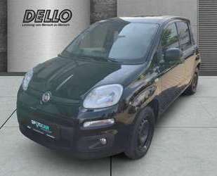 Fiat Panda Gebrauchtwagen