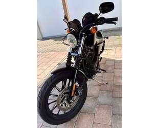 Harley Davidson Iron 883 Gebrauchtwagen