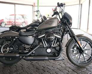 Harley Davidson Iron 883 Gebrauchtwagen