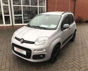 Fiat Panda Gebrauchtwagen