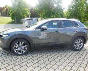Mazda CX-30 Gebrauchtwagen