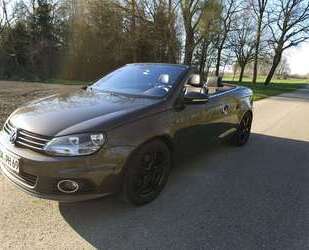 VW Eos Gebrauchtwagen