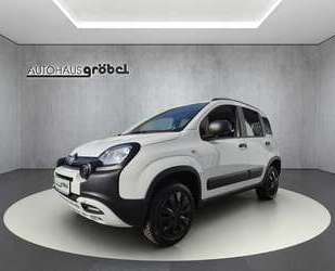 Fiat Panda Gebrauchtwagen