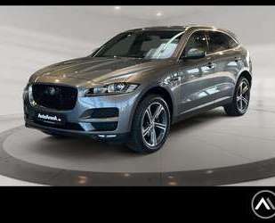 Jaguar F-Pace Gebrauchtwagen