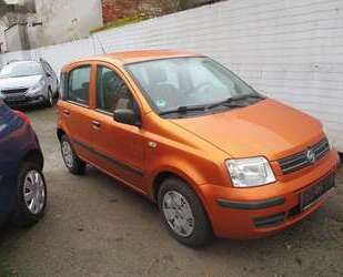 Fiat Panda Gebrauchtwagen