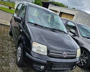 Fiat Panda Gebrauchtwagen