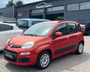 Fiat Panda Gebrauchtwagen