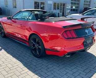 Ford Mustang Gebrauchtwagen