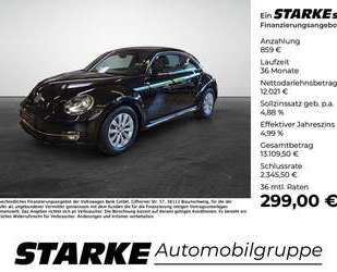 VW Beetle Gebrauchtwagen