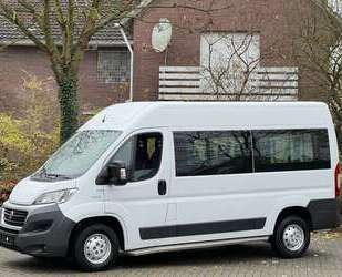 Fiat Ducato Gebrauchtwagen