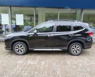 Subaru Forester Gebrauchtwagen