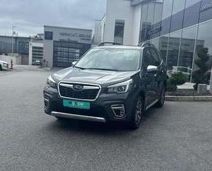Subaru Forester Gebrauchtwagen